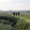 IMG_8564